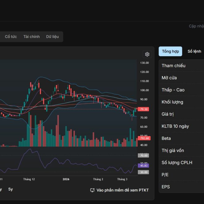 📊 BÁO CÁO PHÂN TÍCH CỔ PHIẾU VPL (VINPEARL)