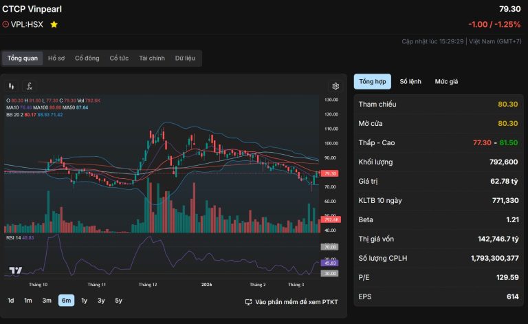 📊 BÁO CÁO PHÂN TÍCH CỔ PHIẾU VPL (VINPEARL)
