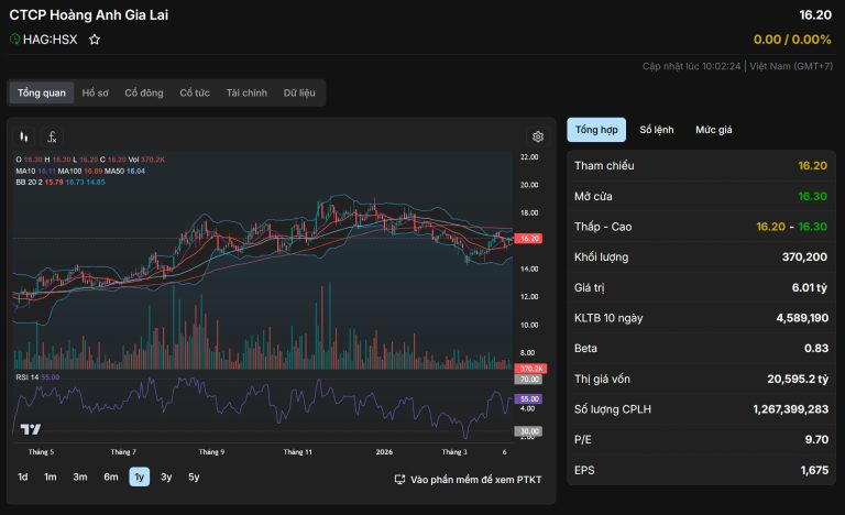 📊 BÁO CÁO PHÂN TÍCH CỔ PHIẾU HAG (HOÀNG ANH GIA LAI)