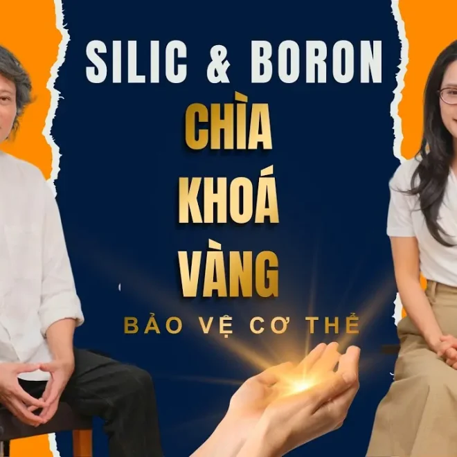 Tóm tắt Số 133: Silic và Boron – Mắt xích vàng bị lãng quên trong làng vi chất