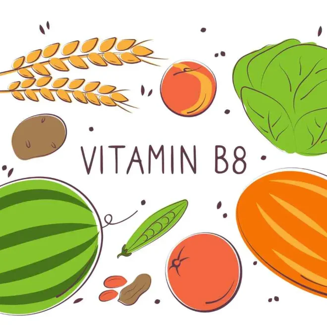Tóm tắt Số 130: Vitamin B8 (Inositol): Những vai trò sống còn ít ai ngờ tới